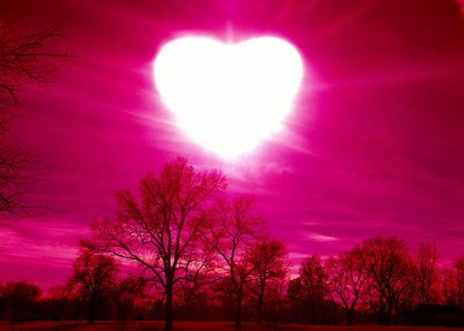 L'éveil du coeur